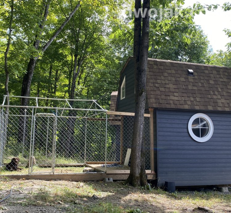 Daily stay, up 2 dogs