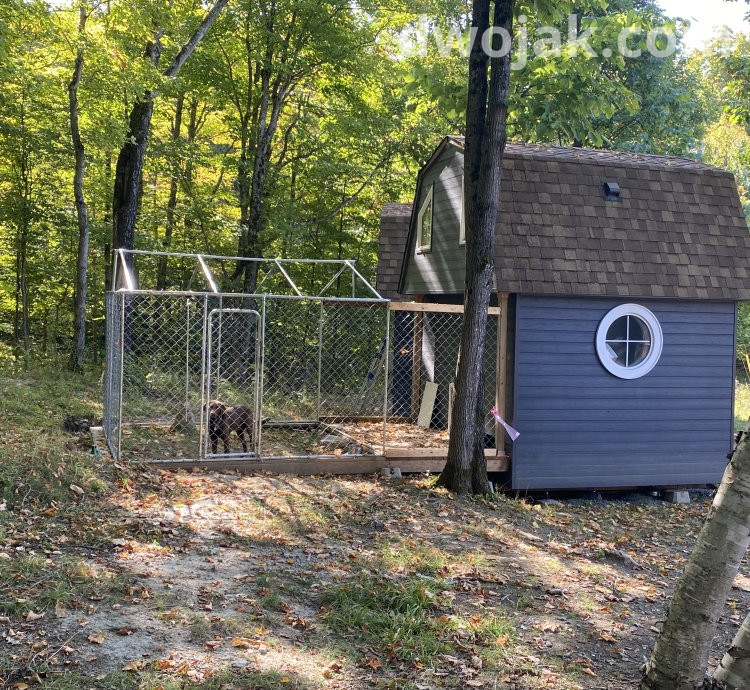 Daily stay, up 2 dogs