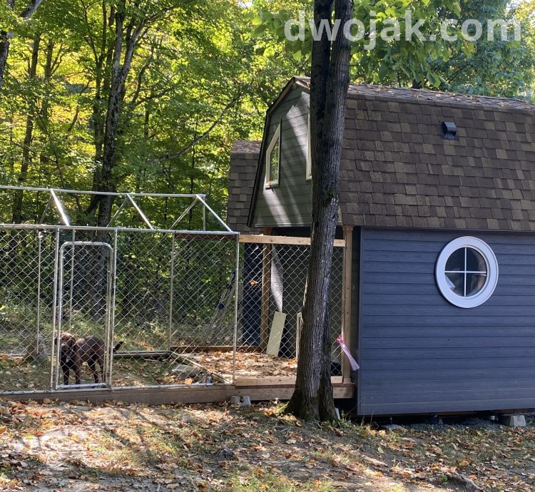 Daily stay, up 2 dogs