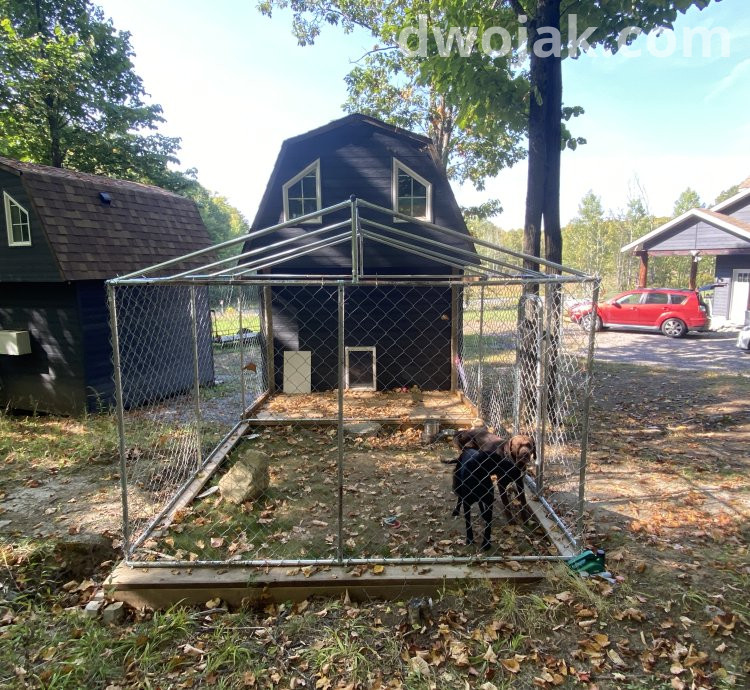 Daily stay, up 2 dogs