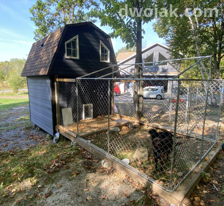 Daily stay, up 2 dogs