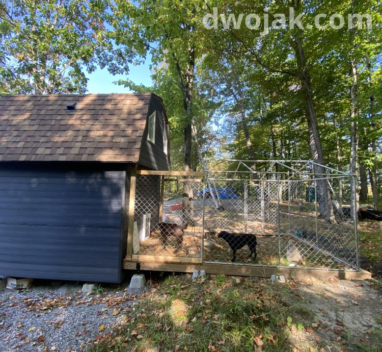 Daily stay, up 2 dogs