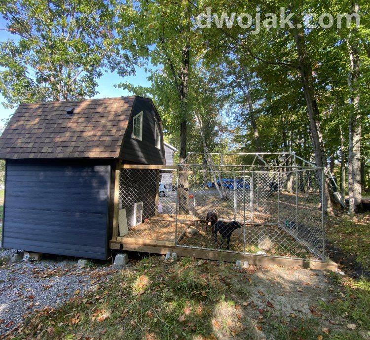 Daily stay, up 2 dogs