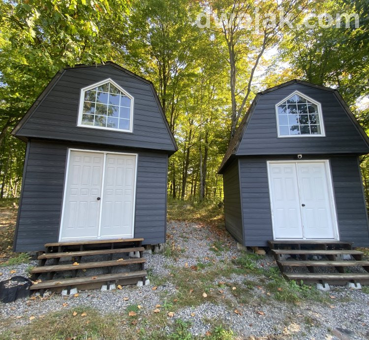 Daily stay, up 2 dogs