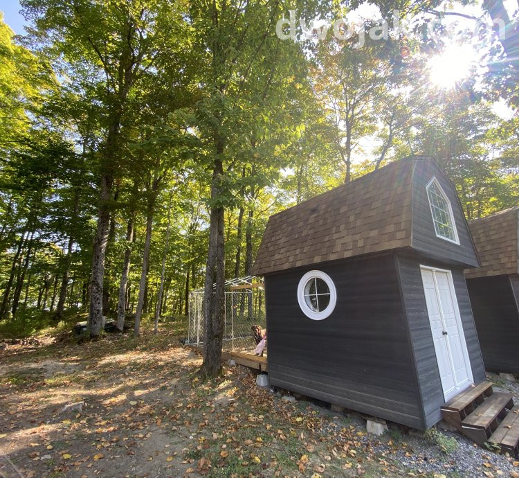 Daily stay, up 2 dogs