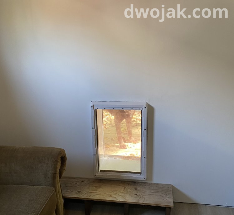 Daily stay, up 2 dogs