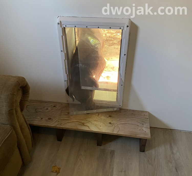 Daily stay, up 2 dogs