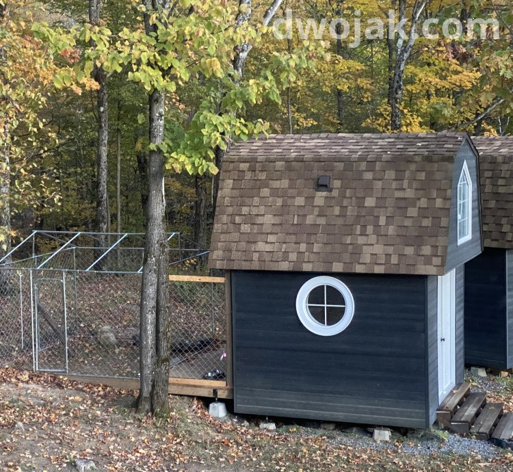 Daily stay, up 2 dogs