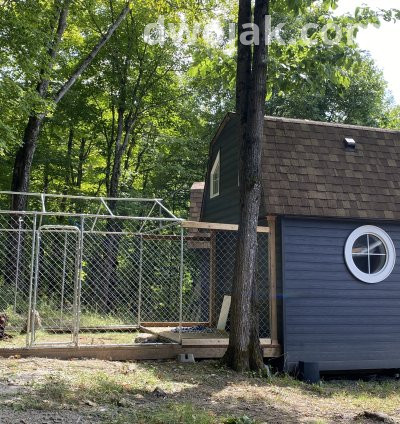 Daily stay, up 2 dogs