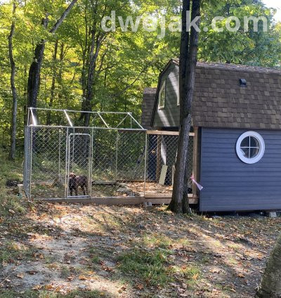 Daily stay, up 2 dogs 19