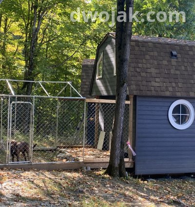 Daily stay, up 2 dogs 18