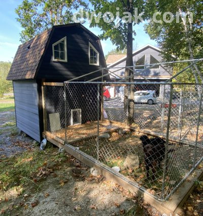 Daily stay, up 2 dogs 15