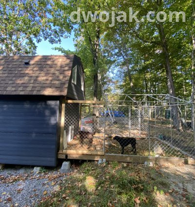 Daily stay, up 2 dogs 14