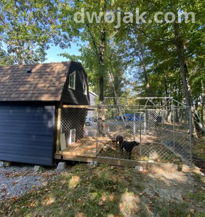 Daily stay, up 2 dogs 13