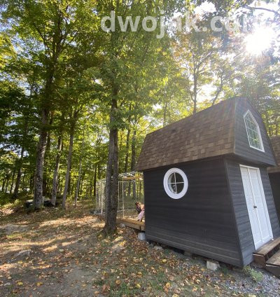 Daily stay, up 2 dogs 9