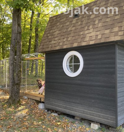 Daily stay, up 2 dogs 7