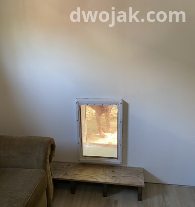 Daily stay, up 2 dogs 5