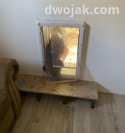 Daily stay, up 2 dogs 3