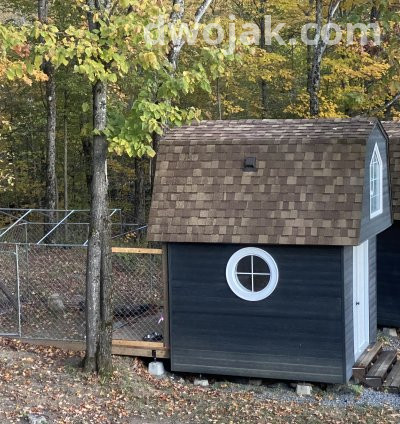 Daily stay, up 2 dogs